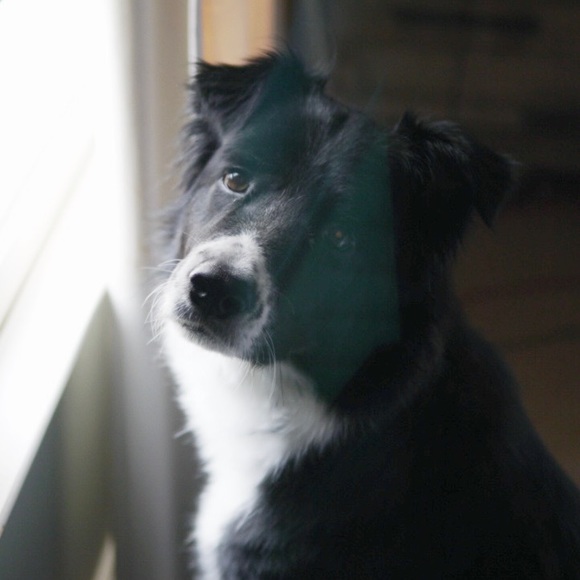 Meet your Posher, Pam - Picture 1 of 1